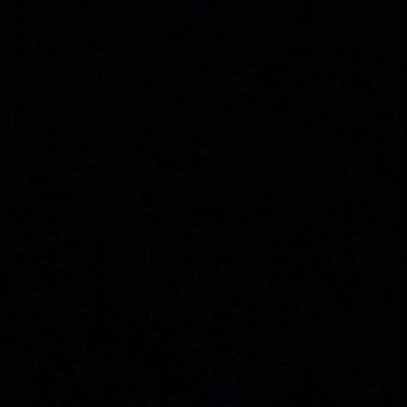 Meet your Posher, Liayla - Picture 1 of 1